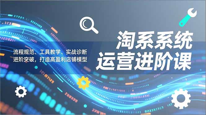 淘系系统运营进阶课2.0，流程规范、工具教学、实战诊断，进阶突破，打造高盈利店铺模型-个创网云网创