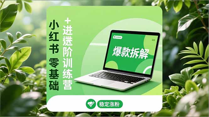 小红书零基础+高阶训练营：安全养号、爆款拆解、长效运营，实现稳定涨粉与变现-个创网云网创