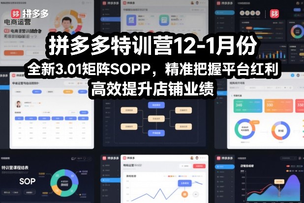 拼多多特训营12-1月份，全新3.01矩阵Sop，精准把握平台红利，高效提升店铺业绩-个创网云网创
