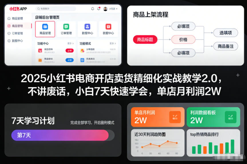 2025小红书电商开店卖货精细化实战教学2.0，不讲废话，小白7天快速学会，单店月利润2W-个创网云网创