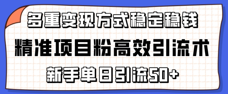 精准项目粉高效引流术，新手单日引流50+，多重变现方式稳定赚钱-个创网云网创