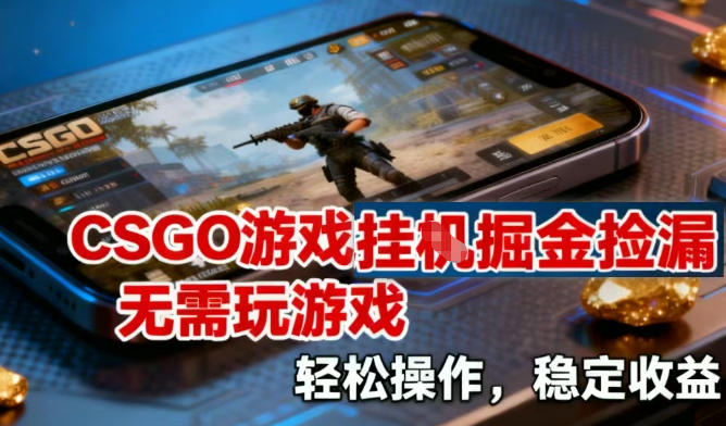 CSGO游戏挂G掘金捡漏，不需要玩游戏，操作简单，收益稳定【揭秘】-个创网云网创