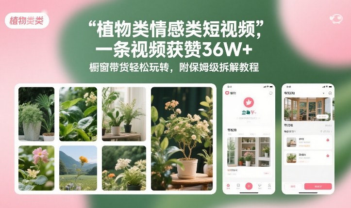 植物类情感类短视频,一条视频获赞36W+,橱窗带货轻松玩转,附保姆级拆解教程-个创网云网创