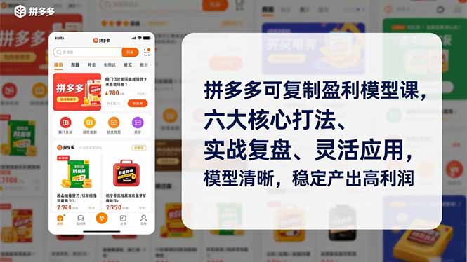 拼多多可复制盈利模型课,六大核心打法、实战复盘、灵活应用,模型清晰,稳定产出高利润-个创网云网创