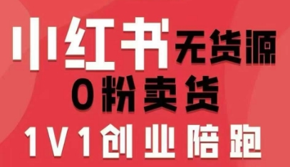 小红书无货源0粉电商课，开店准备、选品策略、笔记撰写、视频剪辑、数据分析、账号打造、资料文档(更新)-个创网云网创