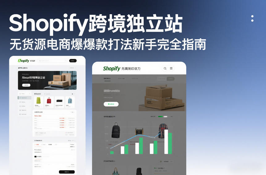 Shopify跨境独立站无货源电商爆款打法新手完全指南-个创网云网创