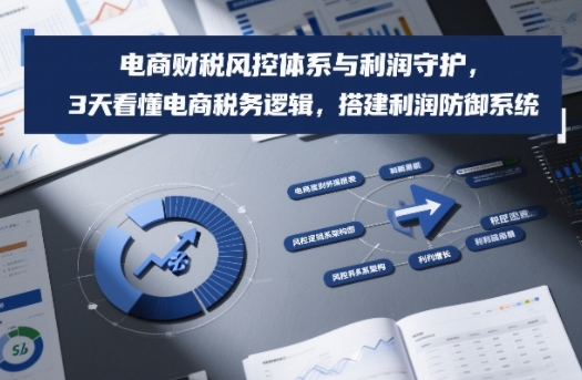 电商财税风控体系与利润守护，3天看懂电商税务逻辑，搭建利润防御系统-个创网云网创