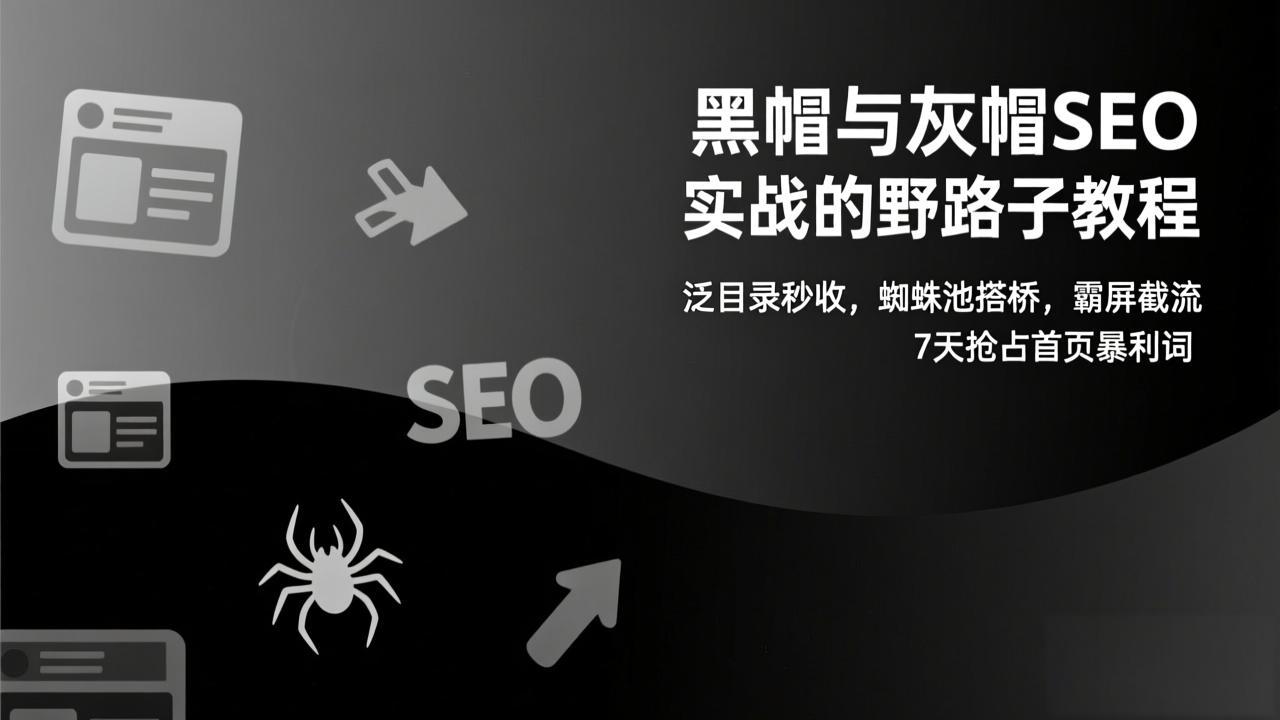 黑帽与灰帽SEO实战的野路子教程：泛目录秒收，蜘蛛池搭桥，霸屏截流，7天抢占首页暴利词-个创网云网创